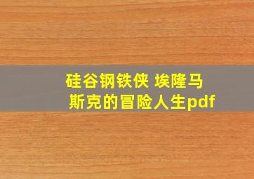 硅谷钢铁侠 埃隆马斯克的冒险人生pdf